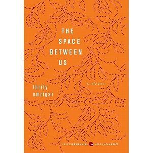 The Space Between Us -- Thrity Umrigar